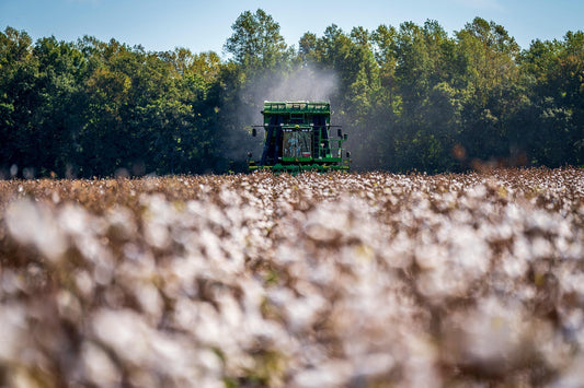 Cotton History