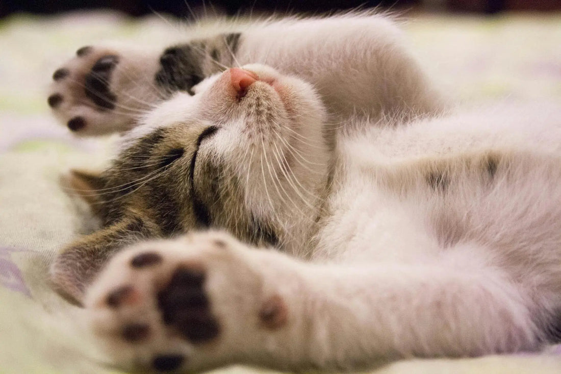 Pressure and Insomnia: How to Improve Your Sleep Quality