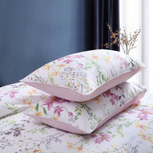 These two pillows are using Brandream pillow shams.